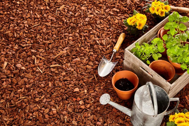 Improve Garden Soil: Make Your Soil Sing with These Tips! - Shrubhub