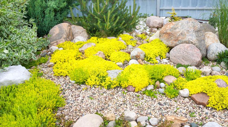 7 Tips to Add Landscape Boulders to Your Garden in Style! - Shrubhub