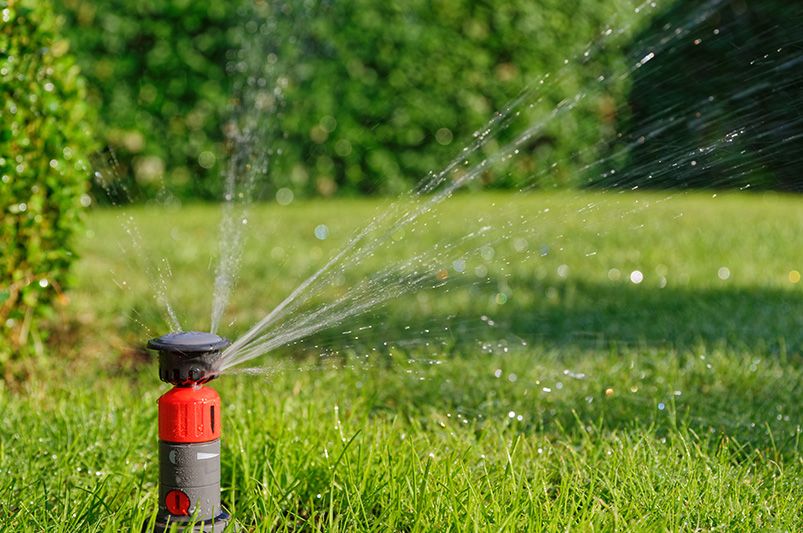 Florida Landscape Irrigation Rebate Program Overview - Shrubhub