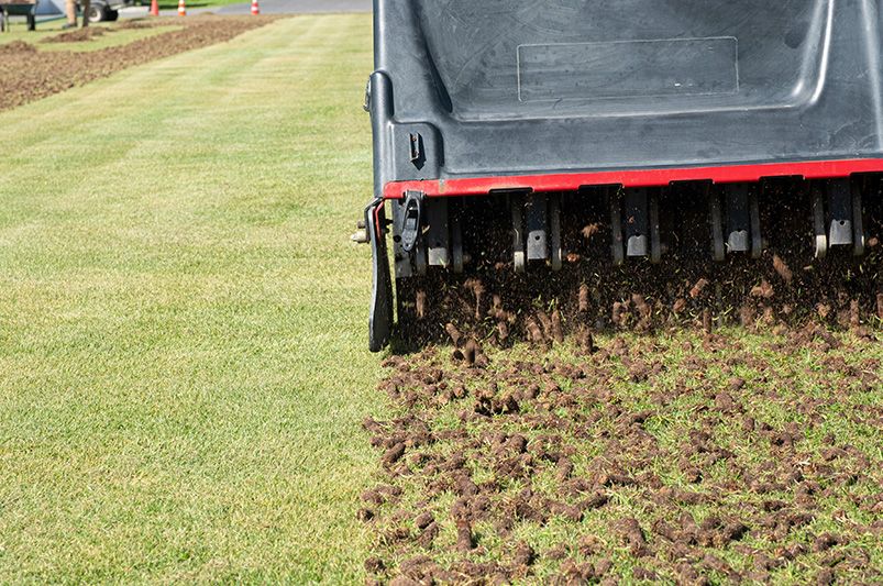 Lawn Aeration Methods to Boost Grass Growth - Shrubhub