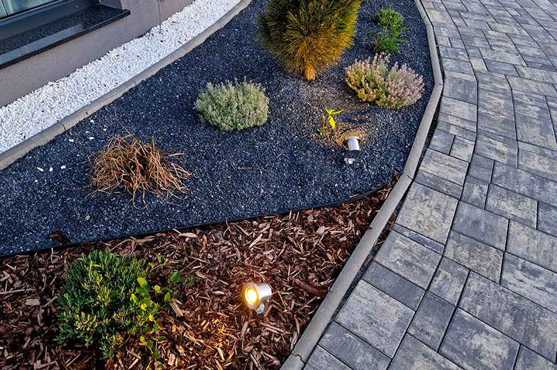 Transform Your Outdoor Space: Winter Landscaping Must-Haves - Shrubhub