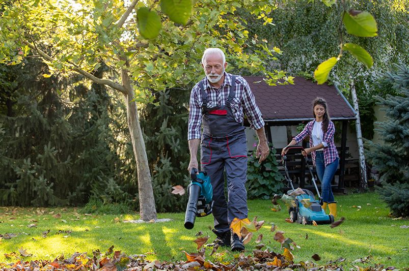 Fall Yard Checklist: Steps to a Beautiful Autumn Landscape - Shrubhub