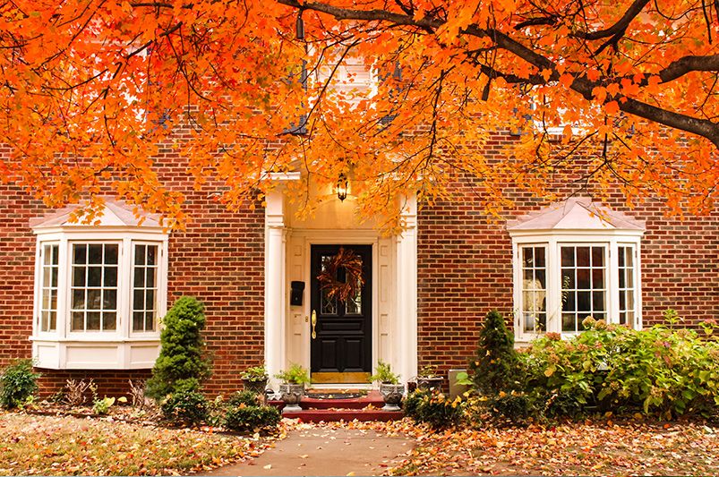 Fall Foliage Landscaping: Mastering the Art - Shrubhub