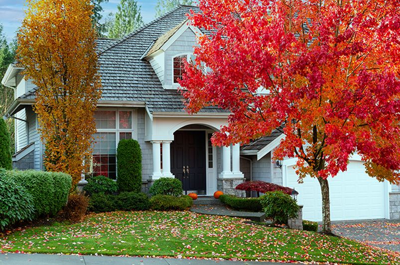 Fall Foliage Landscaping: Mastering the Art - Shrubhub