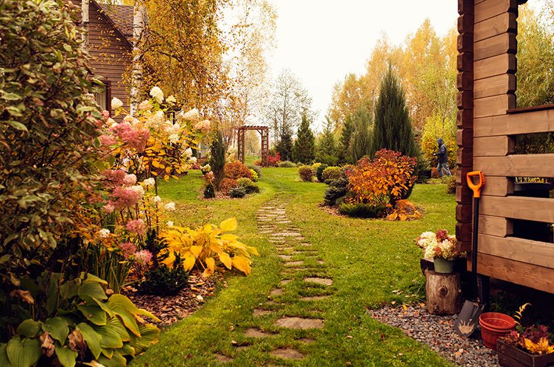 Fall Foliage Landscaping: Mastering the Art - Shrubhub