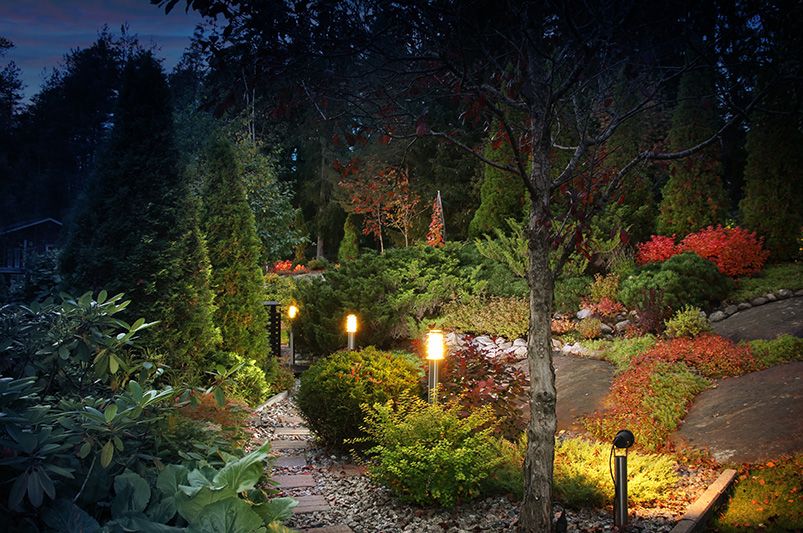 Autumn Landscape Inspiration for Your Home - Shrubhub