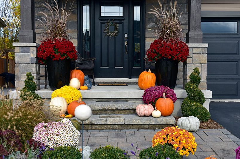 Autumn Landscape Inspiration for Your Home - Shrubhub