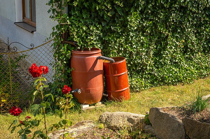 Budget-Friendly Gardening Hacks That Actually Work - Shrubhub