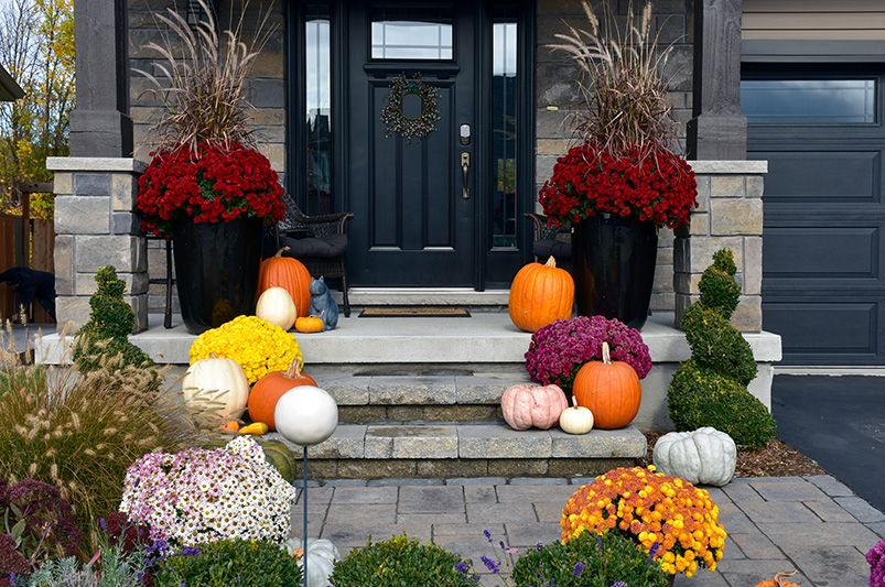 Fall Garden and Landscape Ideas: Creative Inspiration - Shrubhub