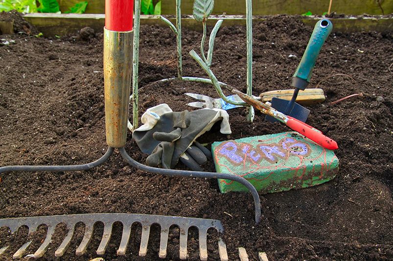 Beginner's Guide: Best Time to Start Planning Your Garden - Shrubhub