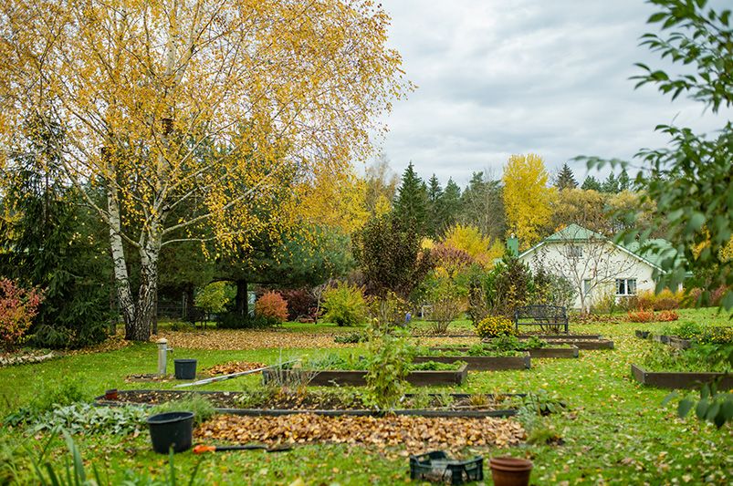 The Ultimate Fall Planting Guide: Tips for a Thriving Garden - Shrubhub