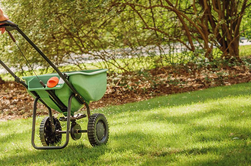 Essential Fall Lawn Care Tips for a Lush Yard - Shrubhub