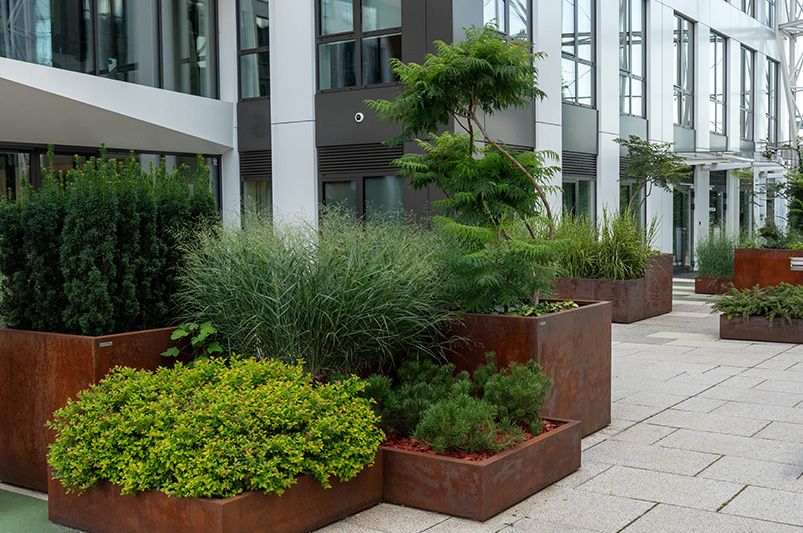 Mastering Commercial Landscape Design: Benefits & Ideas - Shrubhub