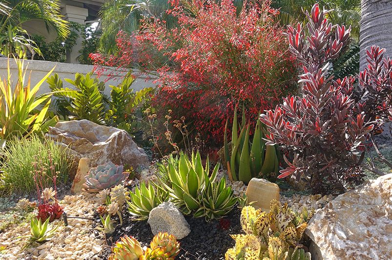 Front Yard Makeover: Design Landscaping in Front of a House - Shrubhub