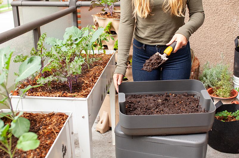 Best Fall Tips for Enhancing Raised Garden Bed Soil - Shrubhub