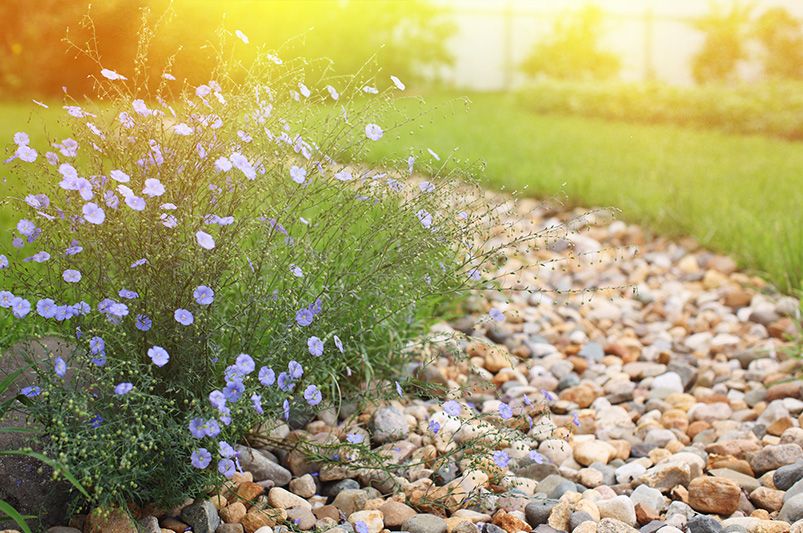 Flower Bed Mulch vs. Rock: What's Better? - Shrubhub