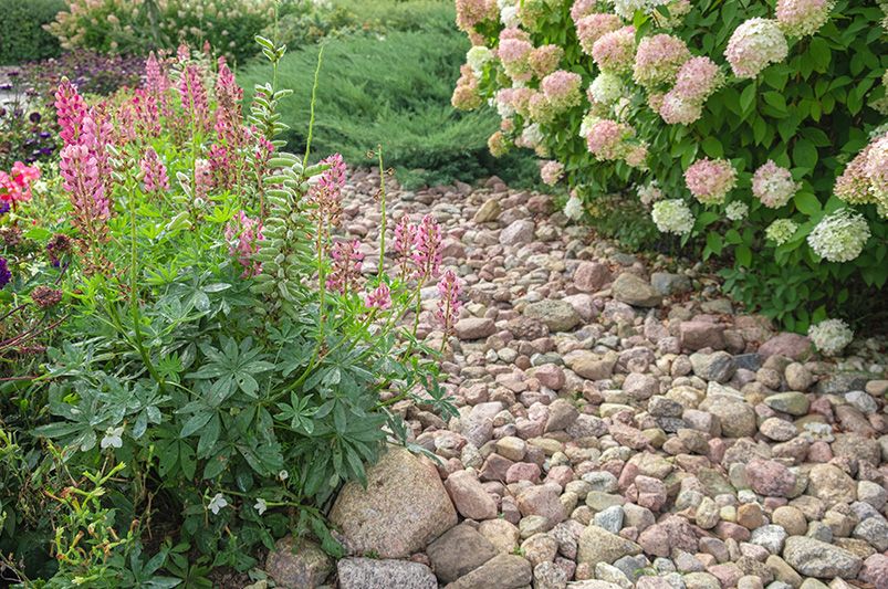 Flower Bed Mulch vs. Rock: What's Better? - Shrubhub