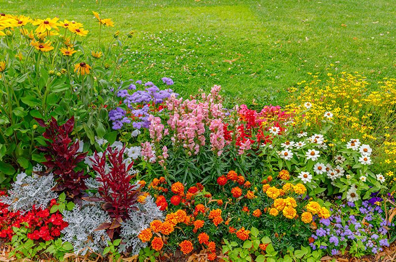 Master the Basics of Landscaping and Garden Design - Shrubhub