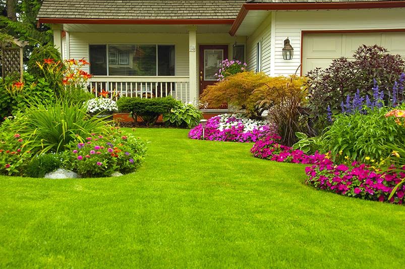 Transform Your Home’s Exterior: Top Curb Appeal Ideas for Every Budget - Shrubhub