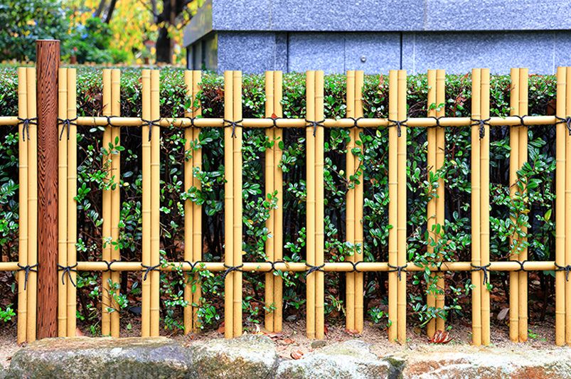 10 Stylish Front Yard Fence Ideas for Your Home - Shrubhub