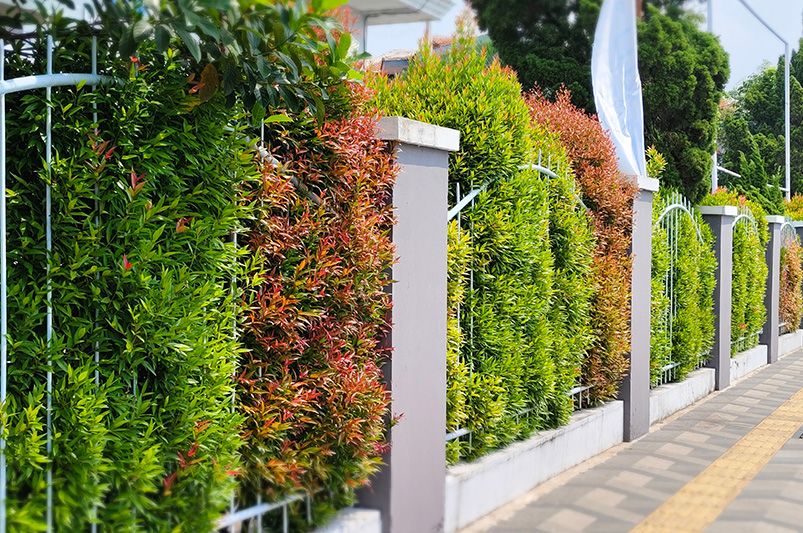 10 Stylish Front Yard Fence Ideas for Your Home - Shrubhub