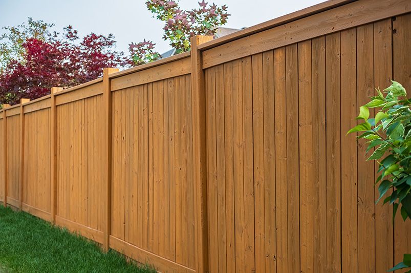 10 Stylish Front Yard Fence Ideas for Your Home - Shrubhub