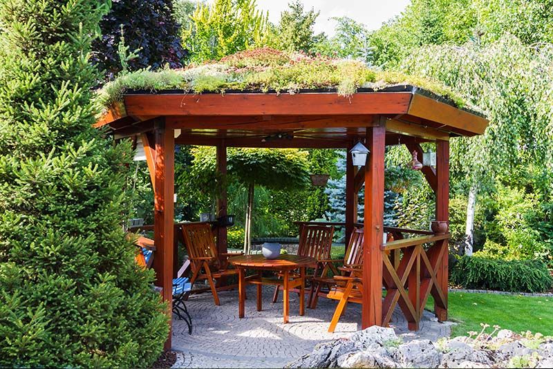 Transform Your Outdoor Space with These Landscape Privacy Ideas - Shrubhub