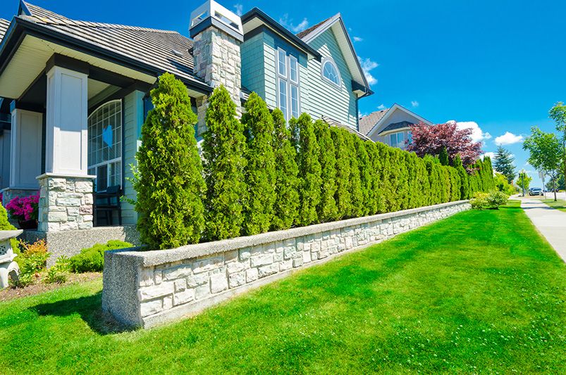 Transform Your Outdoor Space with These Landscape Privacy Ideas - Shrubhub