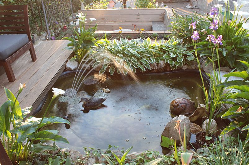 Transform Your Outdoor Space: A Guide to Stunning Landscape Design - Shrubhub