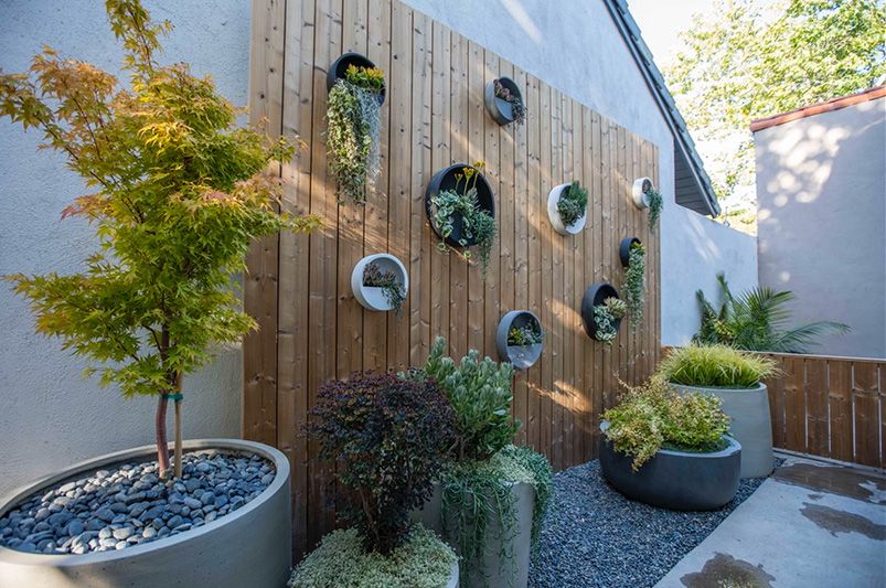 Modern Front Yard Landscaping 2025: Inspiring Designs - Shrubhub