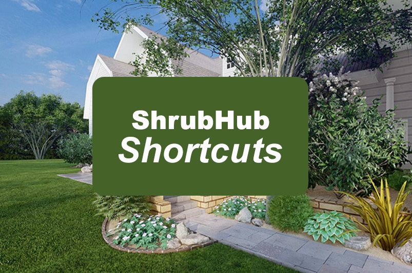 ShrubHub Shortcuts: Instant Curb Appeal — 3 Design Tweaks That Transform Your Front Yard