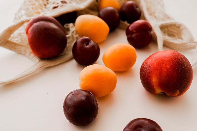 Grow More Fruit in Less Space with Fruit Cocktail Trees & Multi-Grafted Shrubs