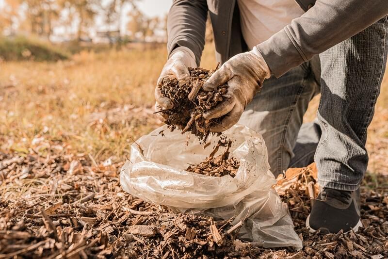 Composting: All You Need To Know About This Sustainable Practice - Shrubhub