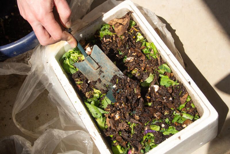 Composting: All You Need To Know About This Sustainable Practice - Shrubhub
