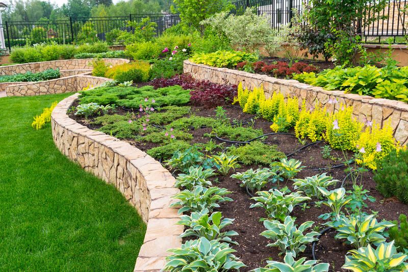 Terraced Yard Tips Tricks Ideas All You Need To Know ShrubHub