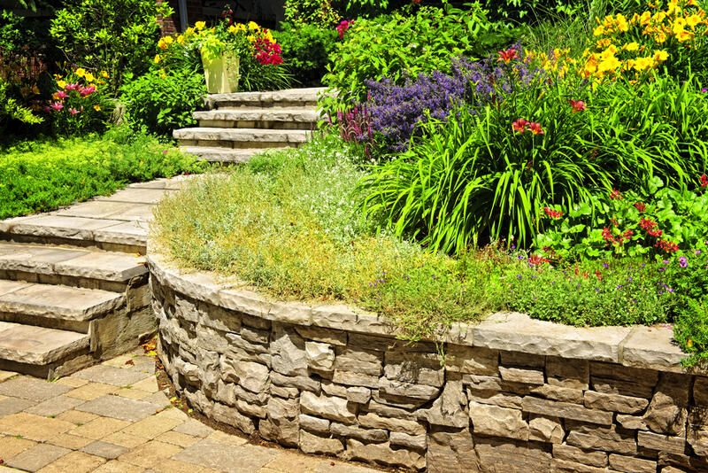 Terraced Yard Tips, Tricks, Ideas & All You Need to Know  - Shrubhub