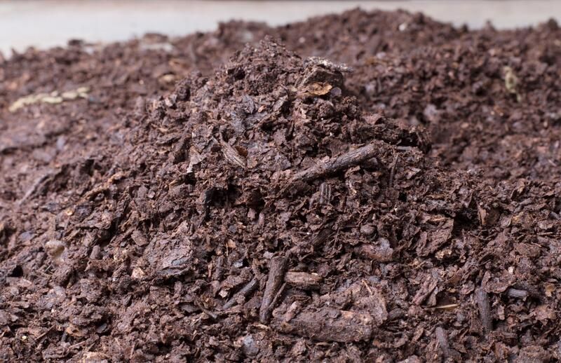 Your Guide To Using Fallen Leaves As Organic Compost And Organic Mulch  - Shrubhub