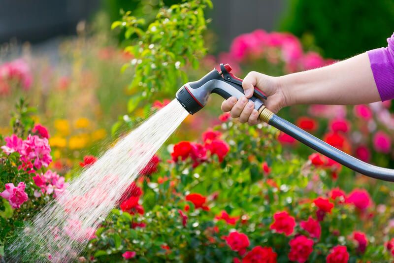 Gardening Tools Guide: The Essential Gardening Tools - Shrubhub