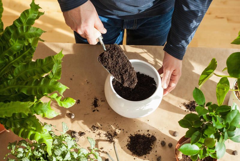 Gardening Tools Guide: The Essential Gardening Tools - Shrubhub