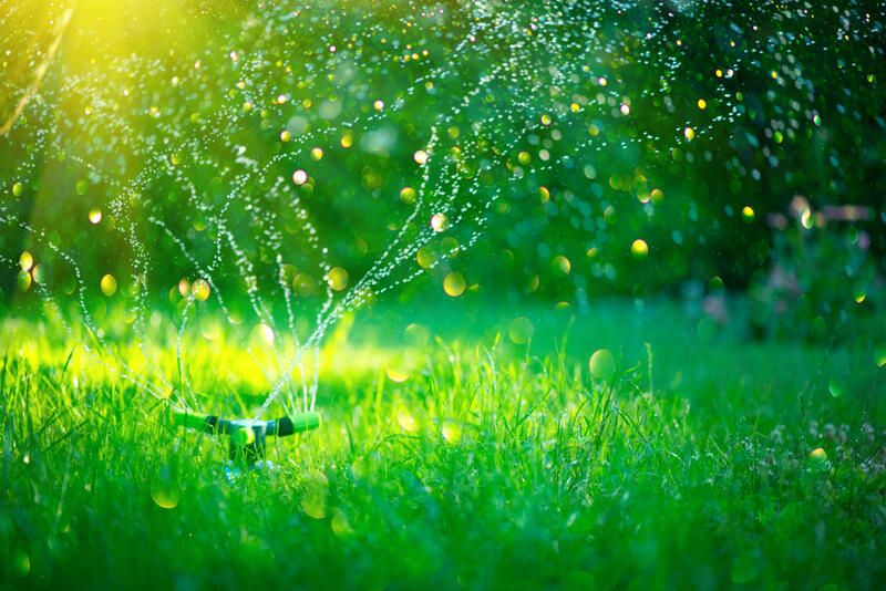 A Beginner's Guide To Your Garden Irrigation System - Shrubhub