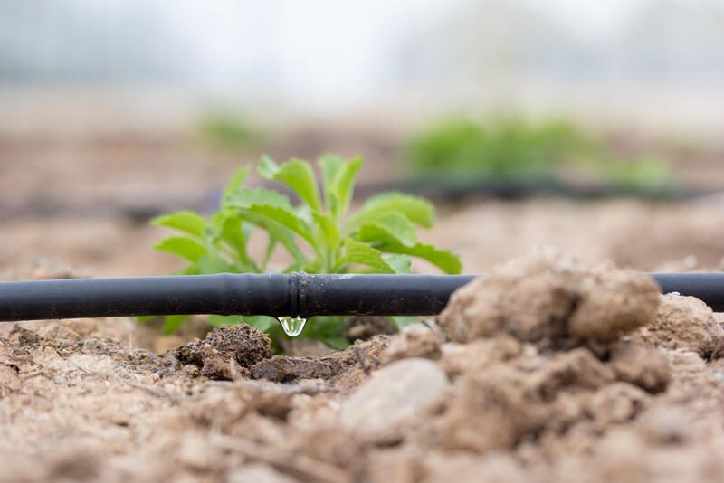 A Beginner's Guide To Your Garden Irrigation System - Shrubhub