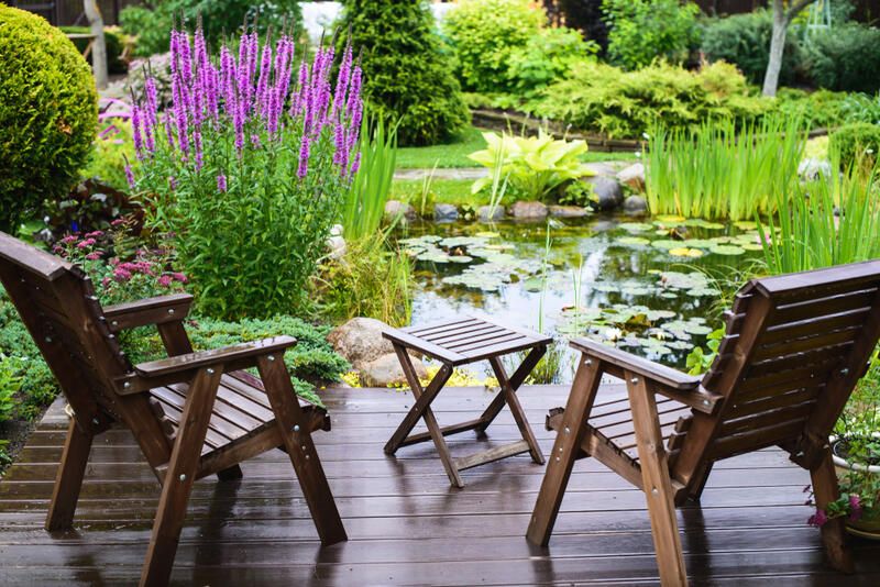 20 Wildlife Friendly Garden Solutions That Will Help You Bring Nature Into Your House - Shrubhub