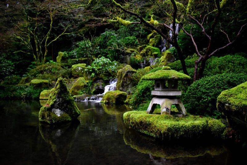 Create a Magical Garden with These Moss Landscape Design Ideas! - Shrubhub