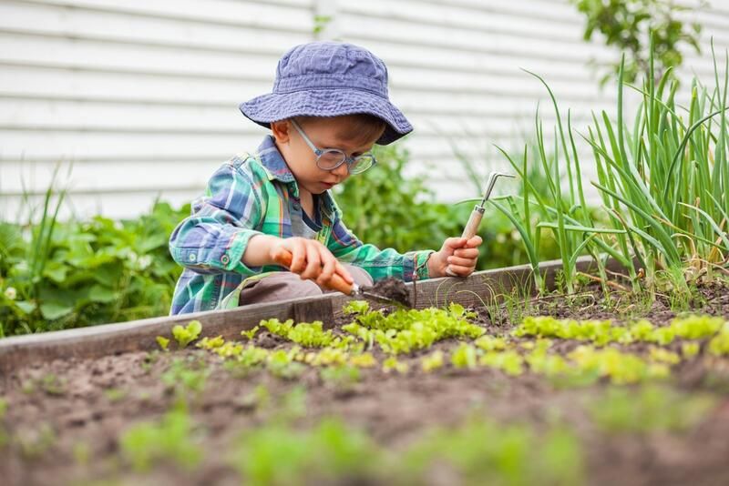 11 Vegetable Garden Ideas