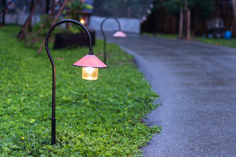Illuminate Your Path: A Guide to Elegant Outdoor Walkway Lighting - Shrubhub