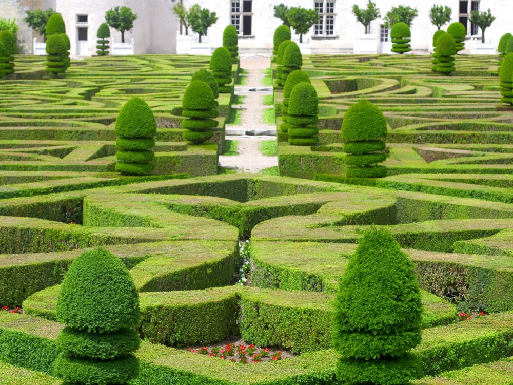 French Garden Landscape Design: Where History, Culture, & Nature Flourish - Shrubhub