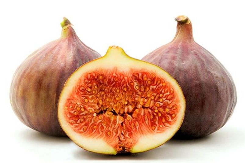 ShrubHub's Guide to Fig Trees - Shrubhub