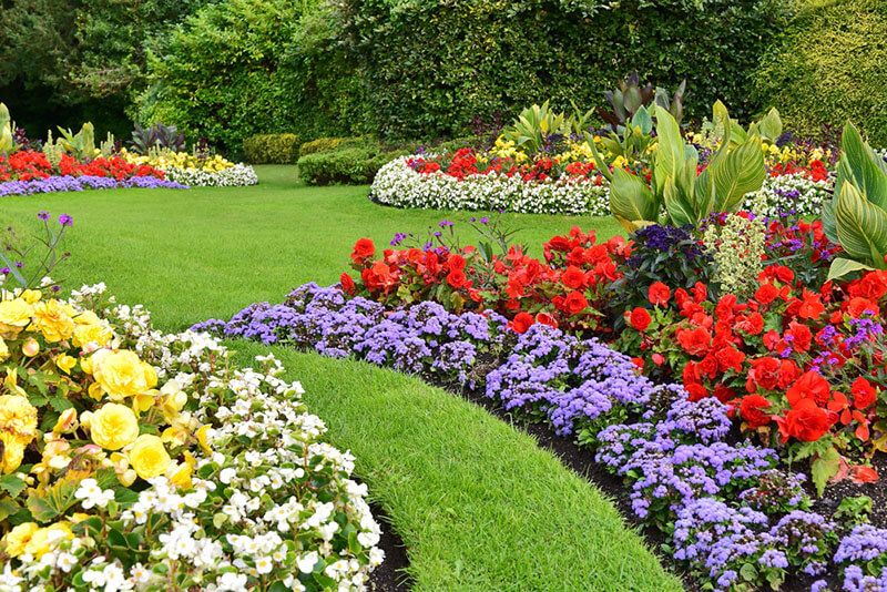 Design ideas for beautiful yards and granted return Investment! - Shrubhub