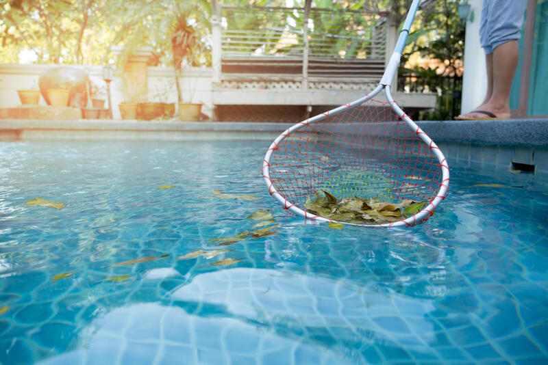Is An In Ground Pool The Right Option For You?  - Shrubhub