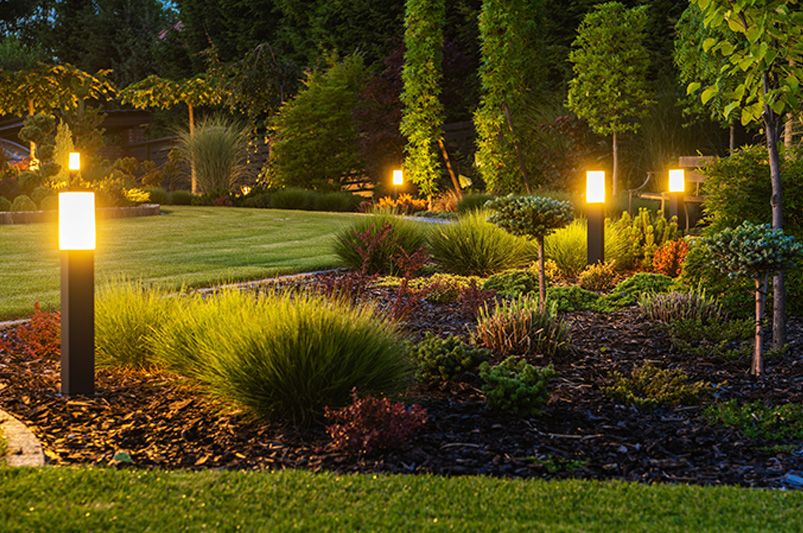 Ready for a Backyard Glow-Up? Start Here! - Shrubhub